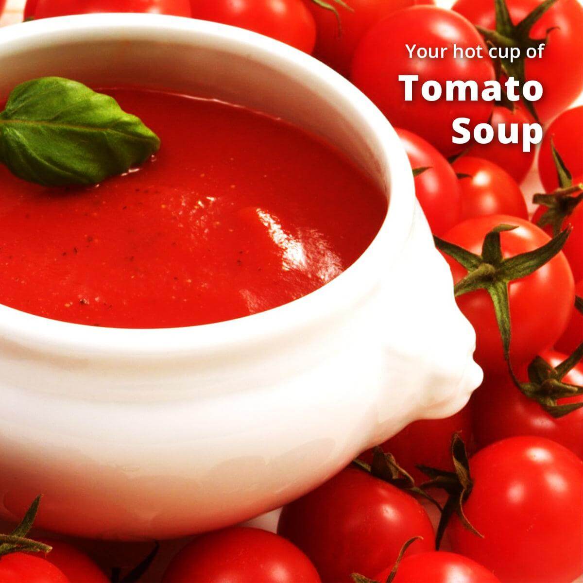 Tomato Soup Premix (500g) | Makes 40 Cups | Rich Taste as Home-Made | Mixture of Aromatic Herbs & Spices | For Manual Use - Just add Hot Water | Suitable for all Vending Machines - Cafe Desire